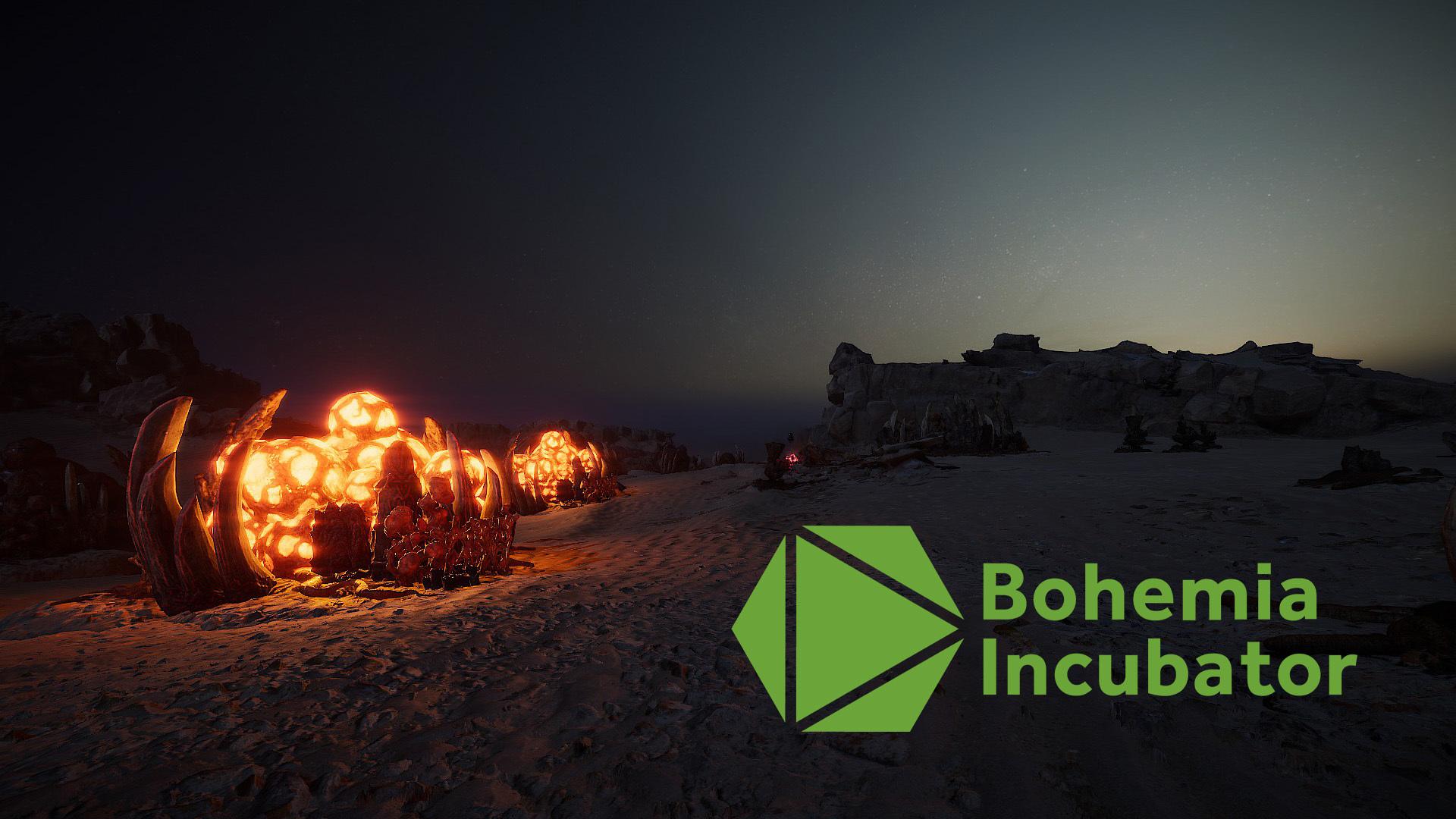 Inside the Bohemia Incubator Program